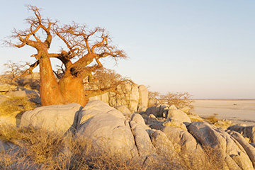 博茨瓦纳杭济三字代码(GNZ),杭济(Ghanzi)四字码,博茨瓦纳机场三字码查询